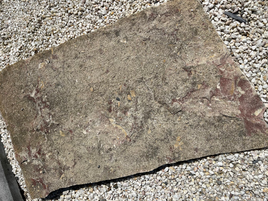 Pas Japonais calcaire Perrigny