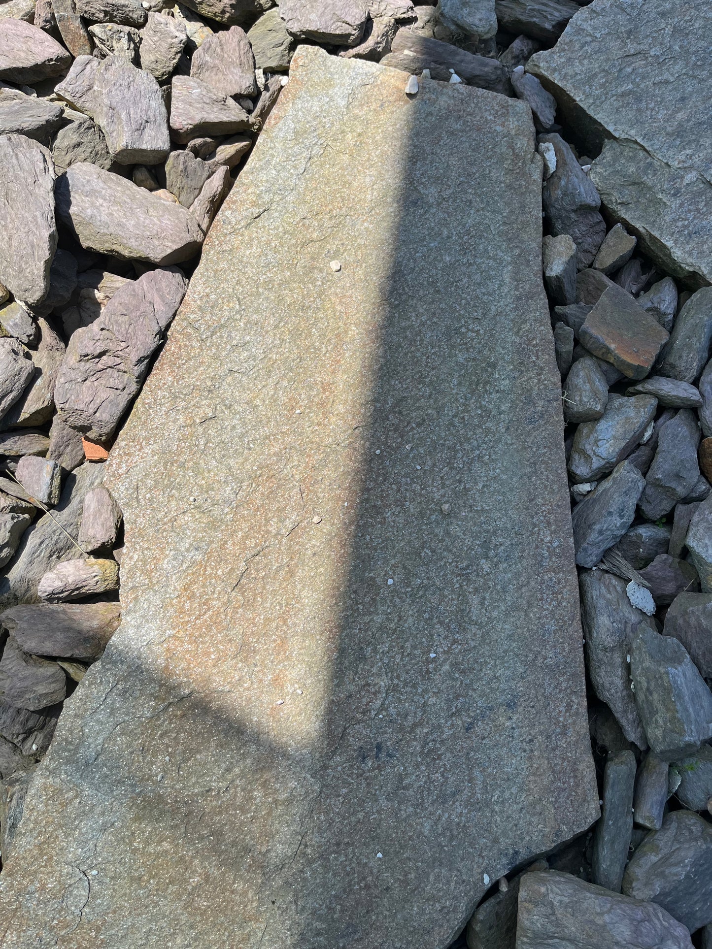 Pas Japonais Gneiss