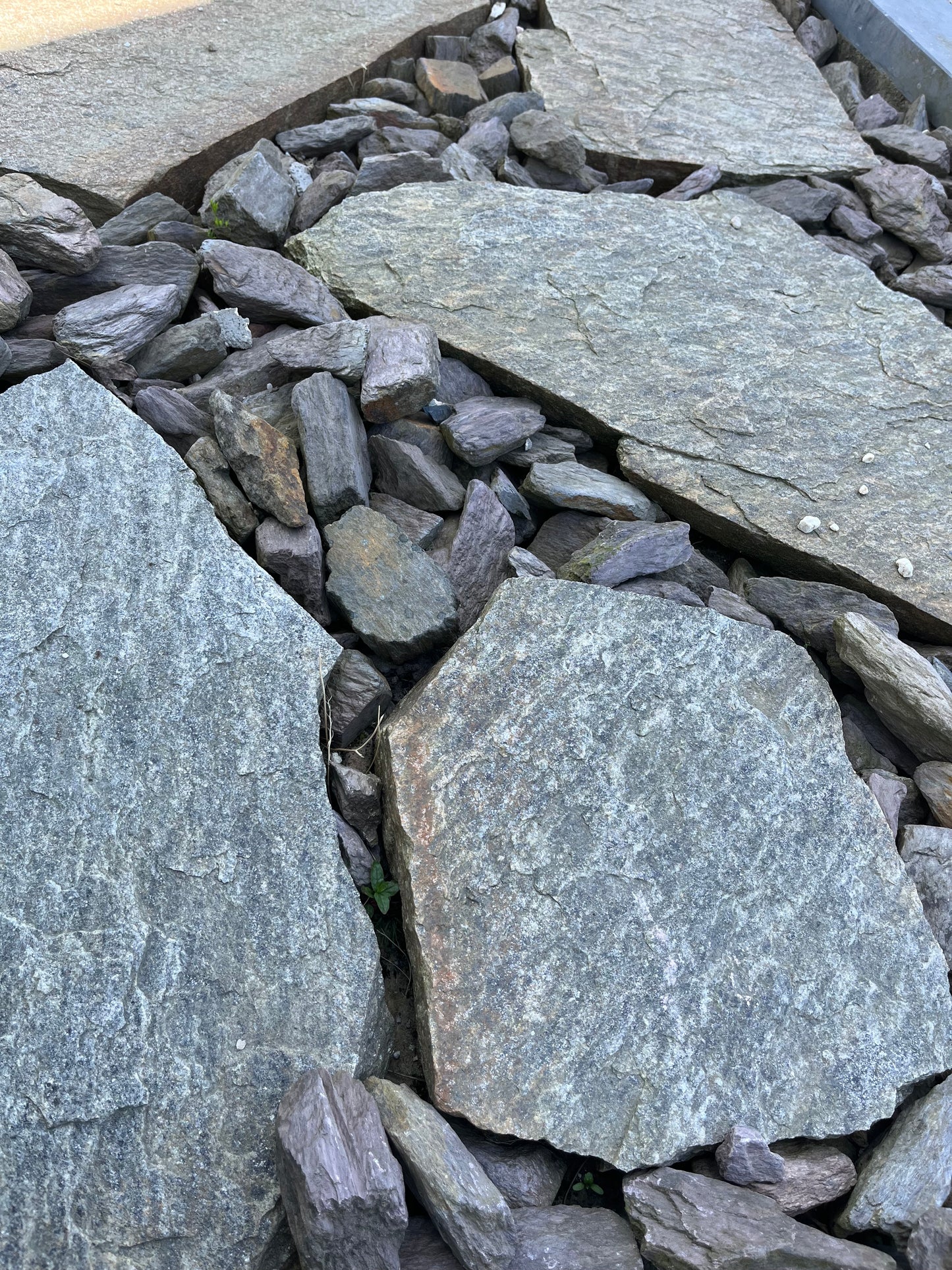 Pas Japonais Gneiss