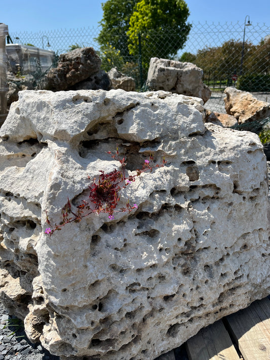 Rocaille - Roche Calcaire perçée