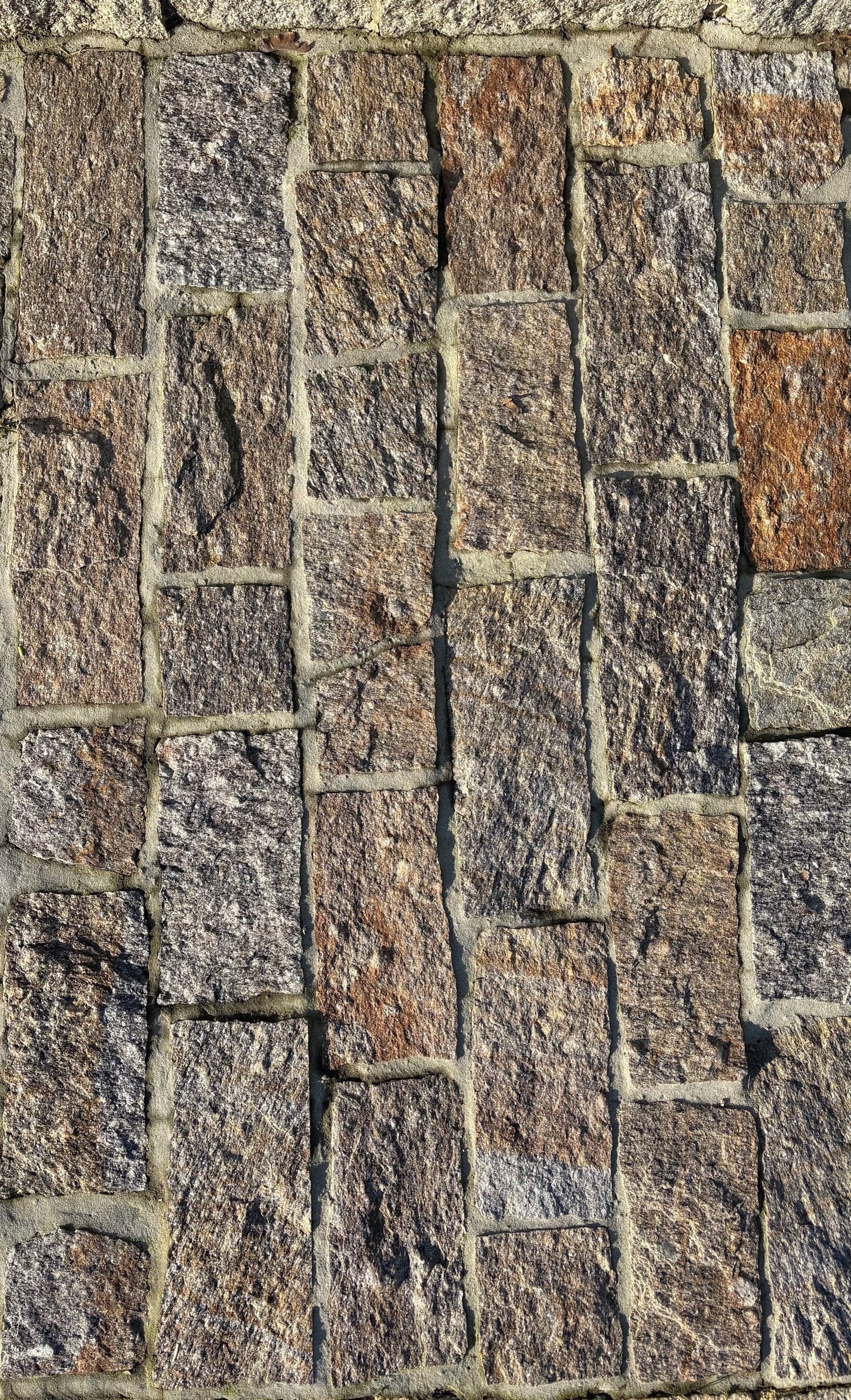 Pavé en Gneiss Cebena