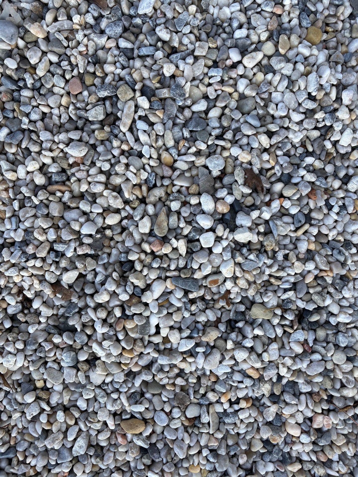 Gravier Gris Perle en vrac 8/16 mm