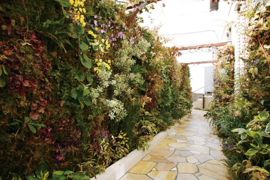 Quartzite Sao Tome Jaune Blanc Opus Incertum